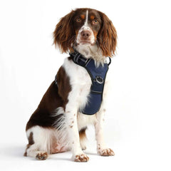 DOOG Neotech Dog Harness Large Navy – HARTECHNAVY-L