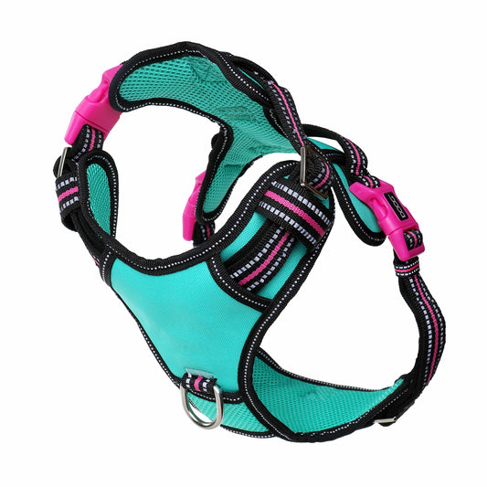 Doog Neotech Dog Harness Rin Tin Tin Extra Large Blue/Pink/Black – HARTECHTIN-XL