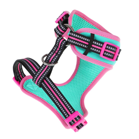 DOOG Neoflex Dog Harness Rin Tin Tin Neon Extra Small Teal/Pink – HARTIN-XS