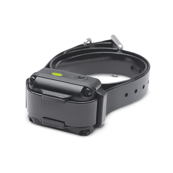 Dogtra iQ Vibration Dog Bark Control Collar Black – IQ-VIBE