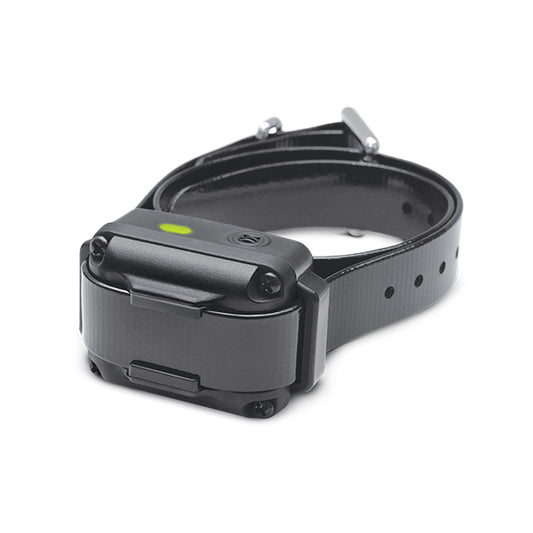 Dogtra iQ Vibration Dog Bark Control Collar Black – IQ-VIBE