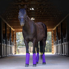 Jeffers Equine Romper Stomper Fly Boots for Horses, Indigo, Medium, Breathable Mesh Horse Leg Protection Leggings, Adjustable, Chemical Free, Easy Clean, Reduce Stomping, Equine Accessories - 4 Pack