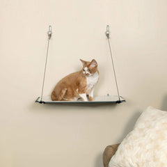 Wall Mounted Cat Shelf Single Level