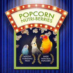 Lafeber Cockatiel Popcorn Nutri-Berries 4 oz bag