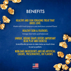 Lafeber Cockatiel Popcorn Nutri-Berries 4 oz bag