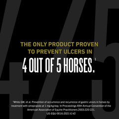 UlcerGard Oral Paste for Horses, Singles