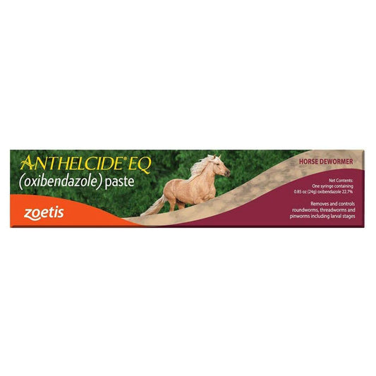 Equine Paste (24 gm)