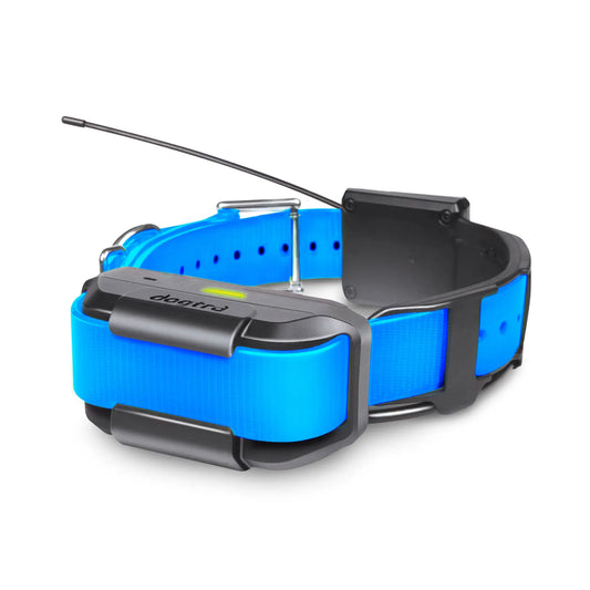Dogtra Pathfinder Extra Collar Blue – PATHFINDER-RX-BLUE