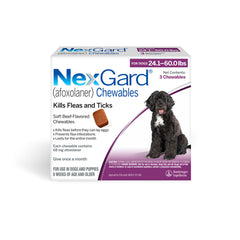 Rx NexGard, Dog 24.1-60 lb, 3 Chew Tabs