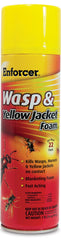 ***Wasp and Yellow Jacket Foam 16oz