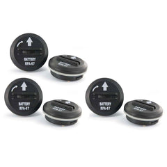 6 Volt lithium battery module year supply