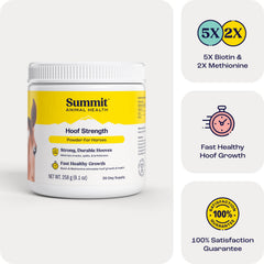 Summit Animal Health Hoof Strength Powder for Horses 9.1oz