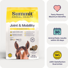 Summit Animal Health Joint & Mobility Bites for Horses, 30ct