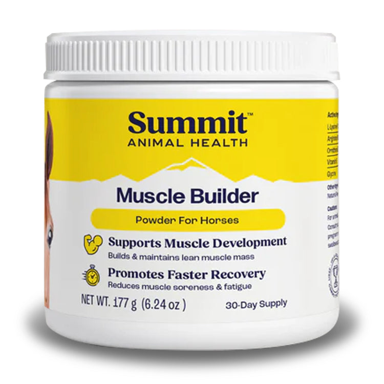Muscle Builder 30 Day Supply