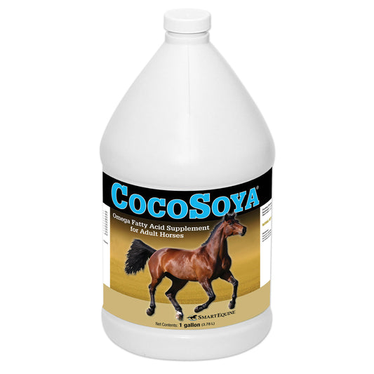 CocoSoya
