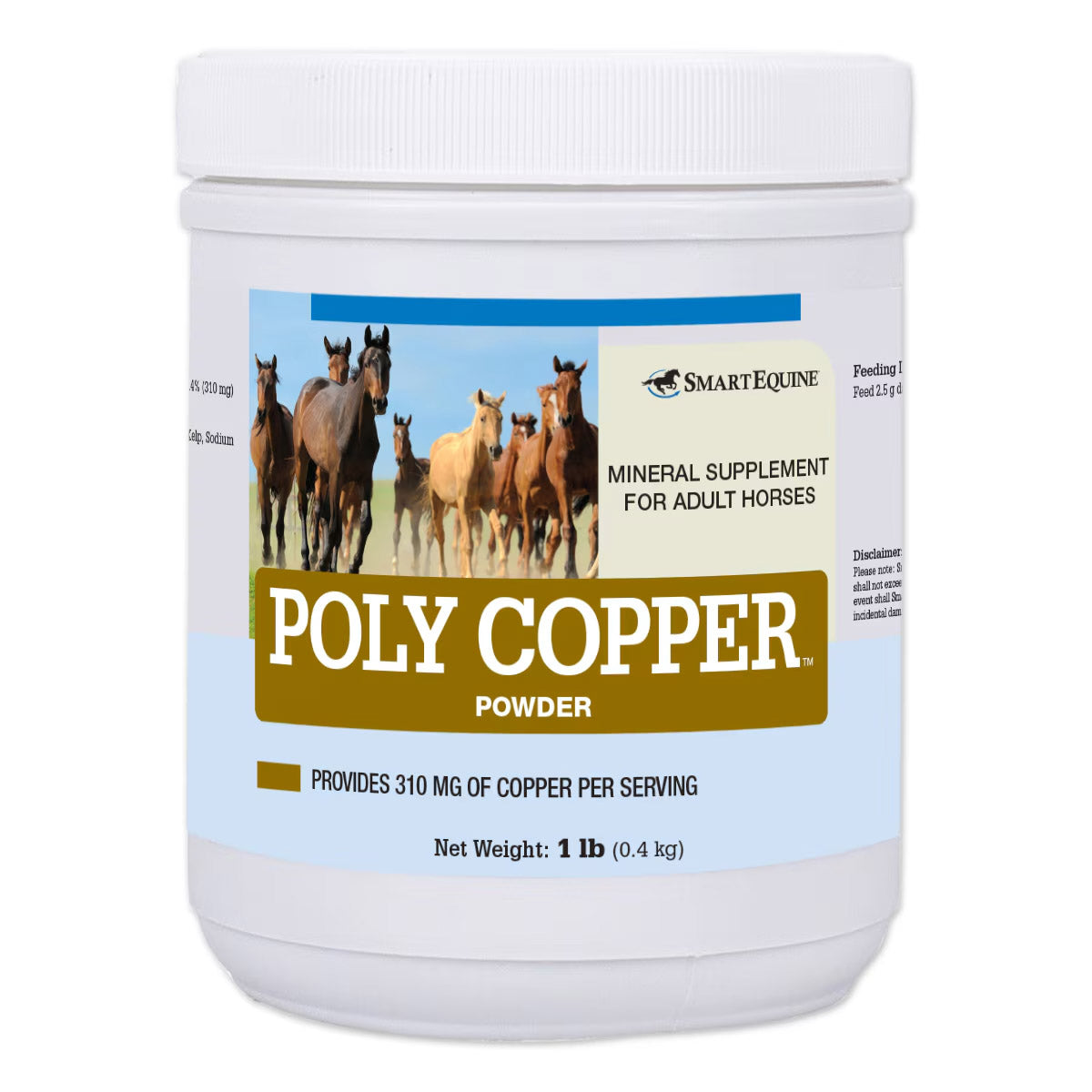 Poly Copper Powder