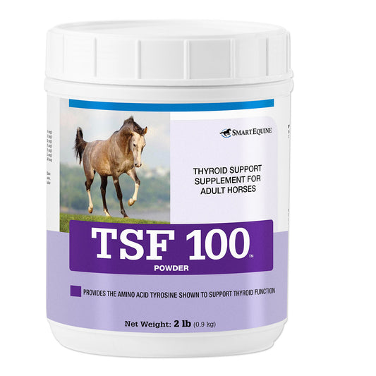 TSF 100