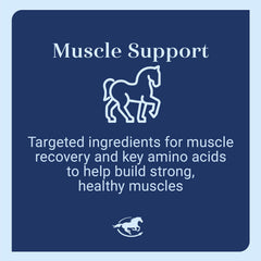 Acetyl L-Carnitine Powder