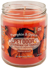 Pet Odor Exterminator Candle, Pumpkin & Spice, 13 oz