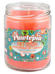 Pet Odor Exterminator Candle, Pawtopia, 13 oz
