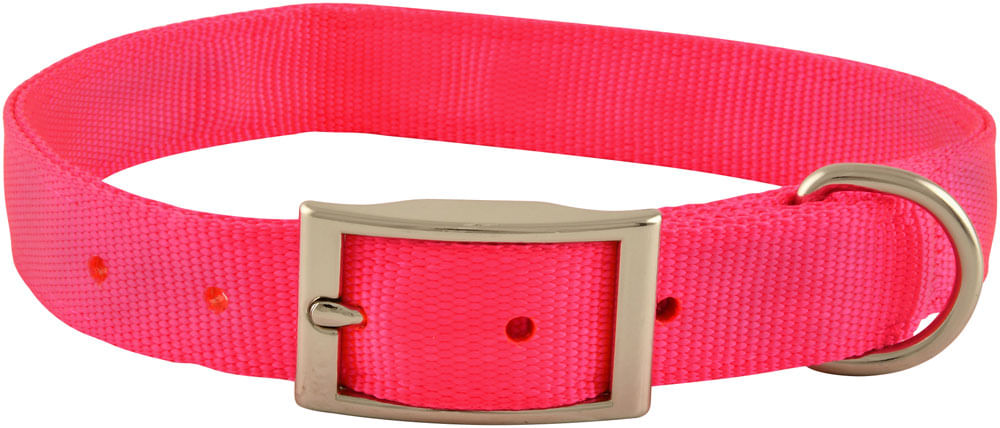 1" x 24" Dog Collar Color: Hot Pink