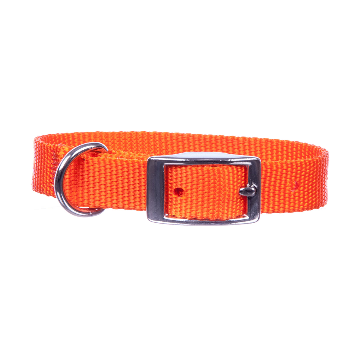 5/8"W x 18"L Dog Collar Color: Pumpkin