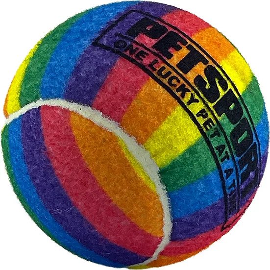Rainbow Squeak Ball, 4", 1 pk