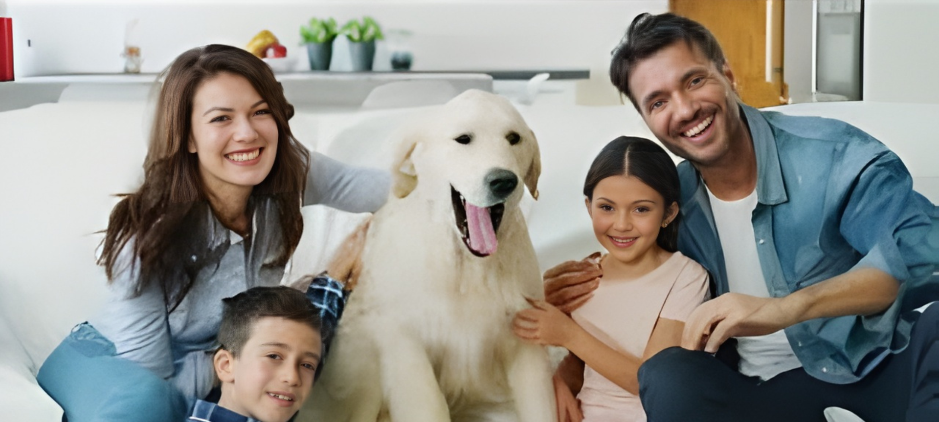 Translation missing: es.sections.video.load_video