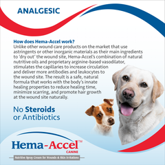 Hema-Accel Canine All Natural Wound Care Spray, 4oz