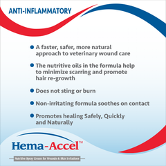 Hema-Accel Equine All Natural Wound Care Spray, 16oz