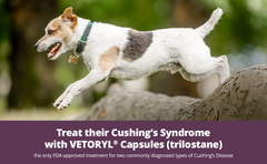 Rx Vetoryl 120mg x 1 Capsule
