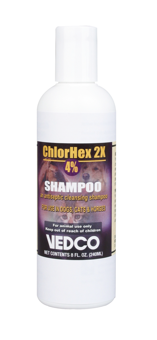 CHLORHEX 2X, 4% SHAMPOO 8OZ