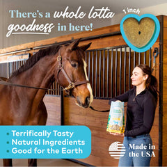 Honest To Goodness Upcycled Horse Treats – Banana