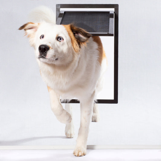 Pet Screen Door