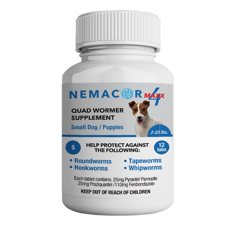 Nemacor Maxx 4 for Dogs, Beef, 12 ct Sz: Dog  2-20lb