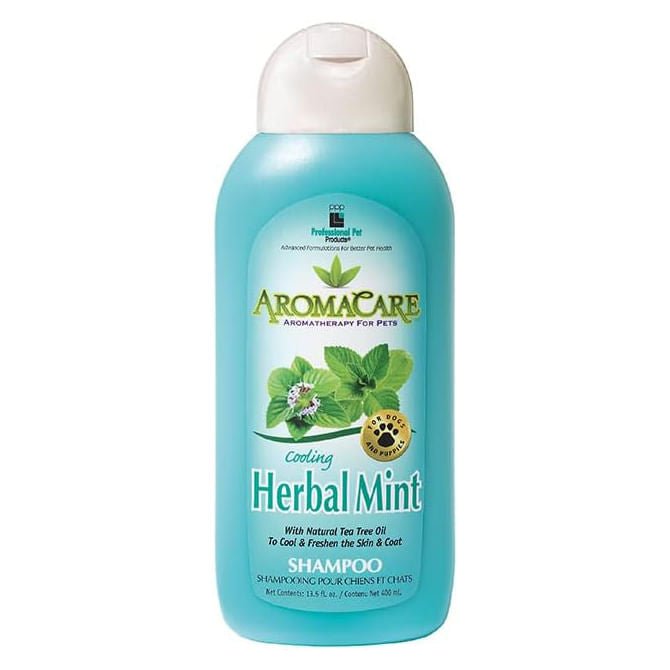AromaCare Herbal Mint Shampoo, 13.5oz