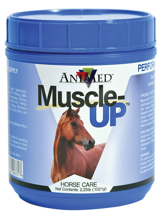 Muscle-Up Powder, 5 lb