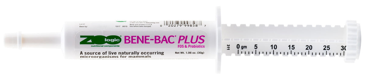 Rx Isoflurane (Generic) for Horses & Dogs, 250 ml