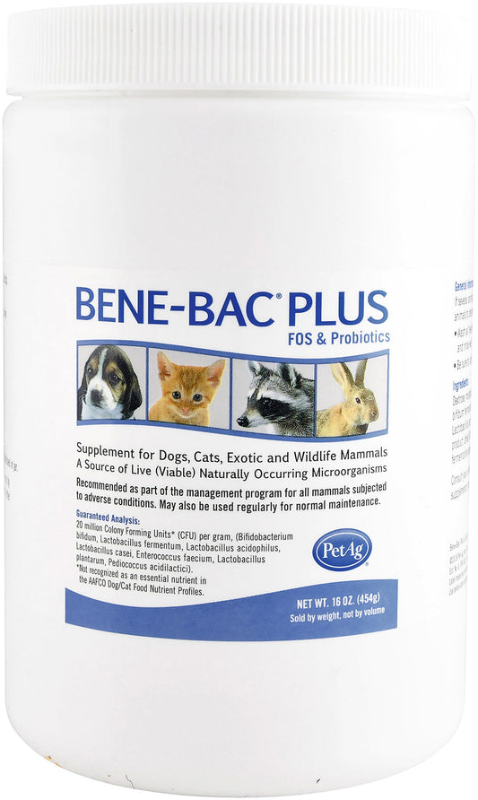Bene-Bac Plus Pdr/sm animal 16 oz