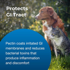 PET Pectillin 4 Ounce Bottle