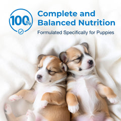 PetAg Esbilac Puppy Milk Replacer Liquid  Suplement Ready-to-Feed Formula with Vitamins 16 fl-oz