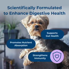PetAg Dyne Soft Chews Digestion & Immune Support  Chicken Liver Flavored 60 Count