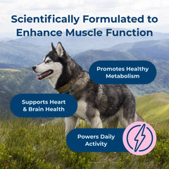 PetAg Dyne Soft Chews Endurance & Vitality Chicken Liver Flavored 60 Count