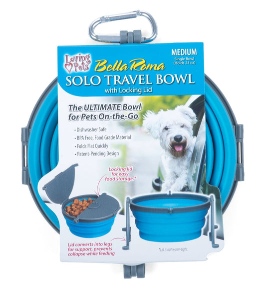 Bella Roma Travel Bowl Colors: Blue Size: Small