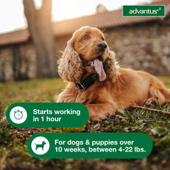 Advantus Soft Chew for Dogs 4-22 lb, 7.5mg, 30 count