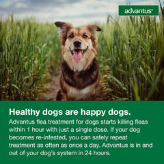 Advantus Soft Chew for Dogs 4-22 lb, 7.5mg, 30 count