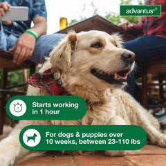 Advantus Soft Chew for Dogs 23-110 lb, 37.5mg, 7 count