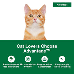 Advantage for Small Cats 2pk