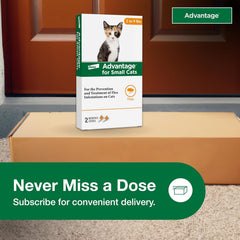 Advantage for Small Cats 2pk