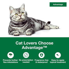 Advantage for Large Cats  2pk